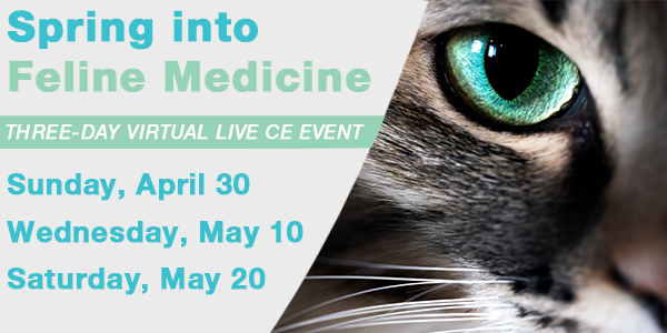 Spring into Feline Medicine 2023
