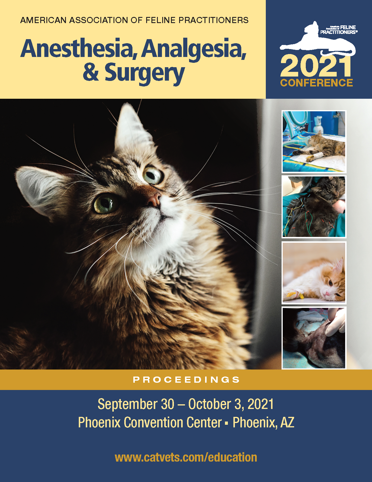 2021 AAFP Annual Conference Proceedings