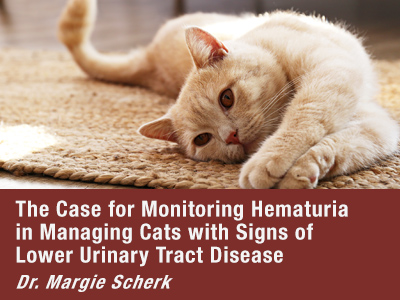 The Case for Monitoring Hematuria