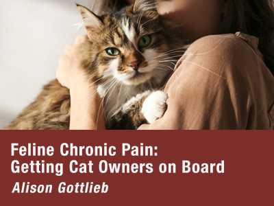 Feline Chronic Pain