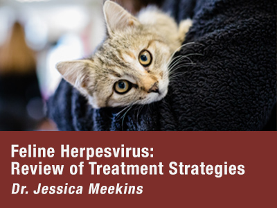 Herpesvirus Review