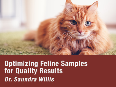 Optimizing Feline Samples