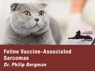 virbac cat vaccines