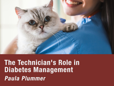 The Technician's Role in Diabetes Management