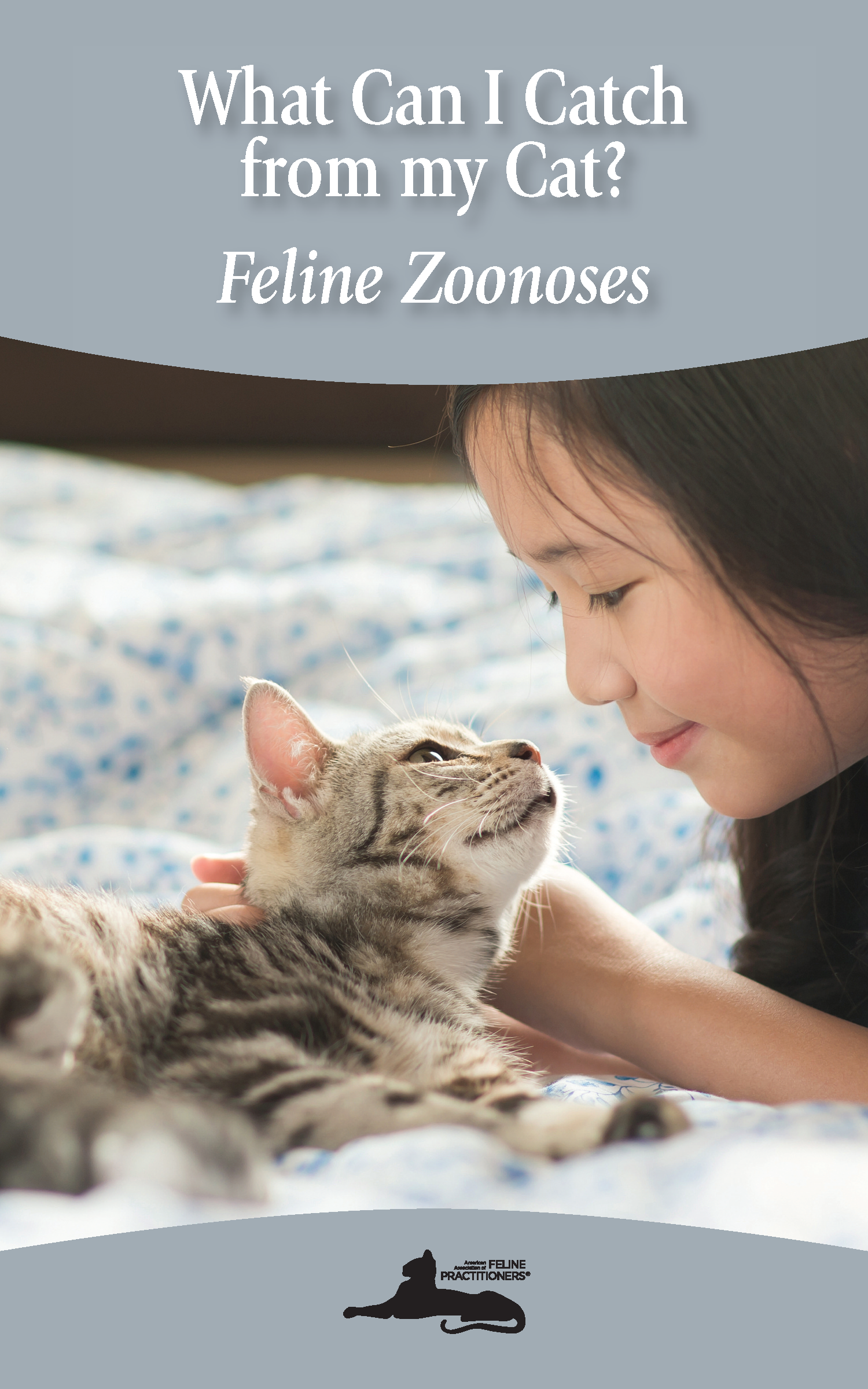 What Can I Catch from my Cat? Feline Zoonoses