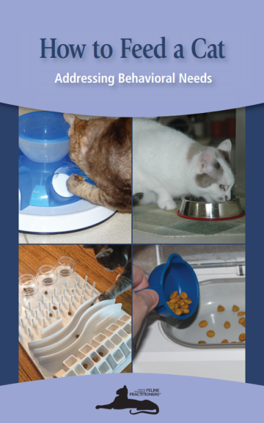 How to Feed a Cat: Addressing Behavioral Needs