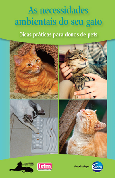 As necessidades ambientais do seu gato: Dicas práticas para donos de pets