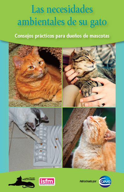 Las necesidades ambientales de su gato: Consejos prácticos para dueños de mascotas