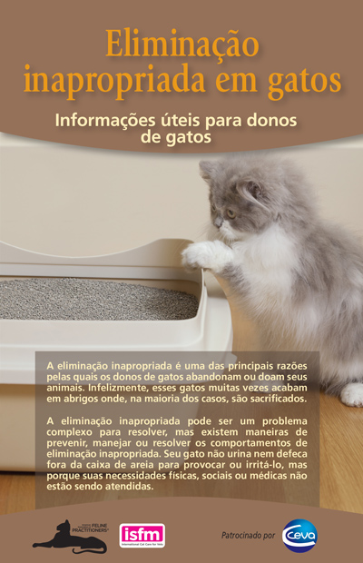 Eliminação inapropriada em gatos: Informações úteis para donos de gatos