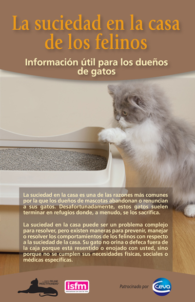 La suciedad en la casa de los felinos: Información útil para los dueños de gatos