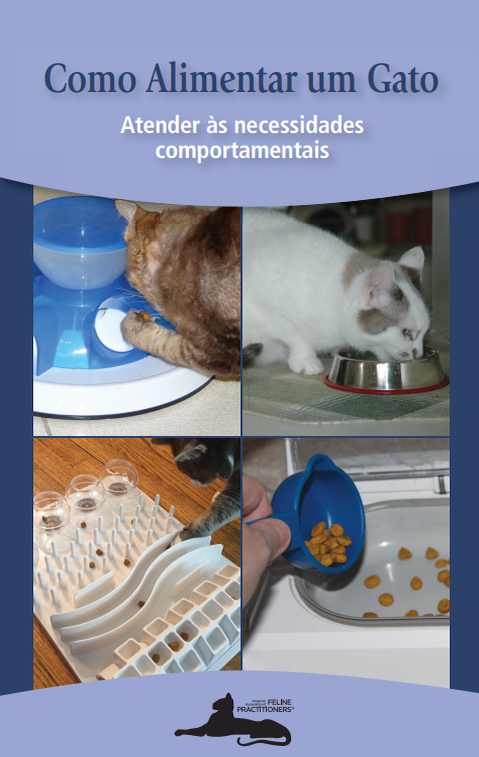 Como Alimentar um Gato: Atender às necessidades comportamentais