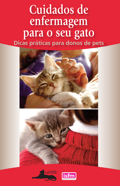 Cuidados de enfermagem para o seu gato: Dicas práticas para donos de pets