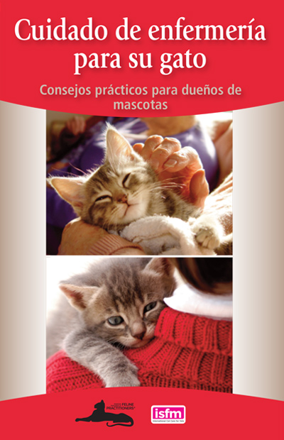 Cuidado de enfermería para su gato: Consejos prácticos para dueños de mascotas