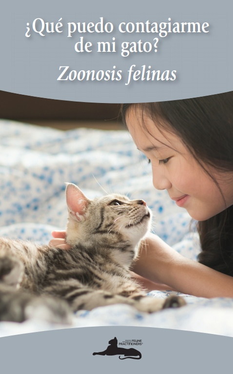 ¿Qué puedo contagiarme de mi gato? Zoonosis felinas