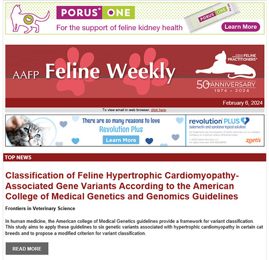 Feline Weekly Example Issue