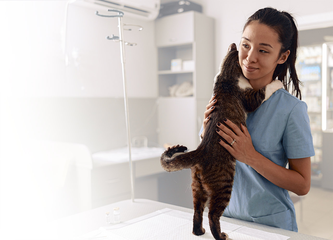 Veterinarian with Cat