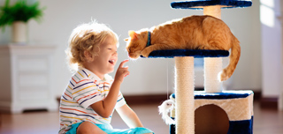 Child playing with Cat