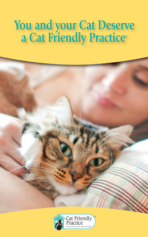 You and your Cat Deserve a Cat Friendly Practice