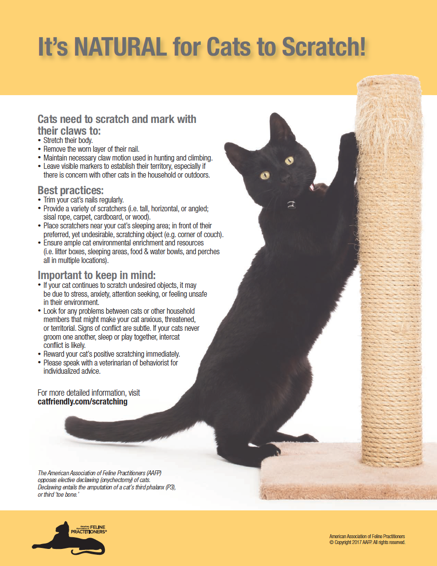 Scratching Resources Scratching Resources