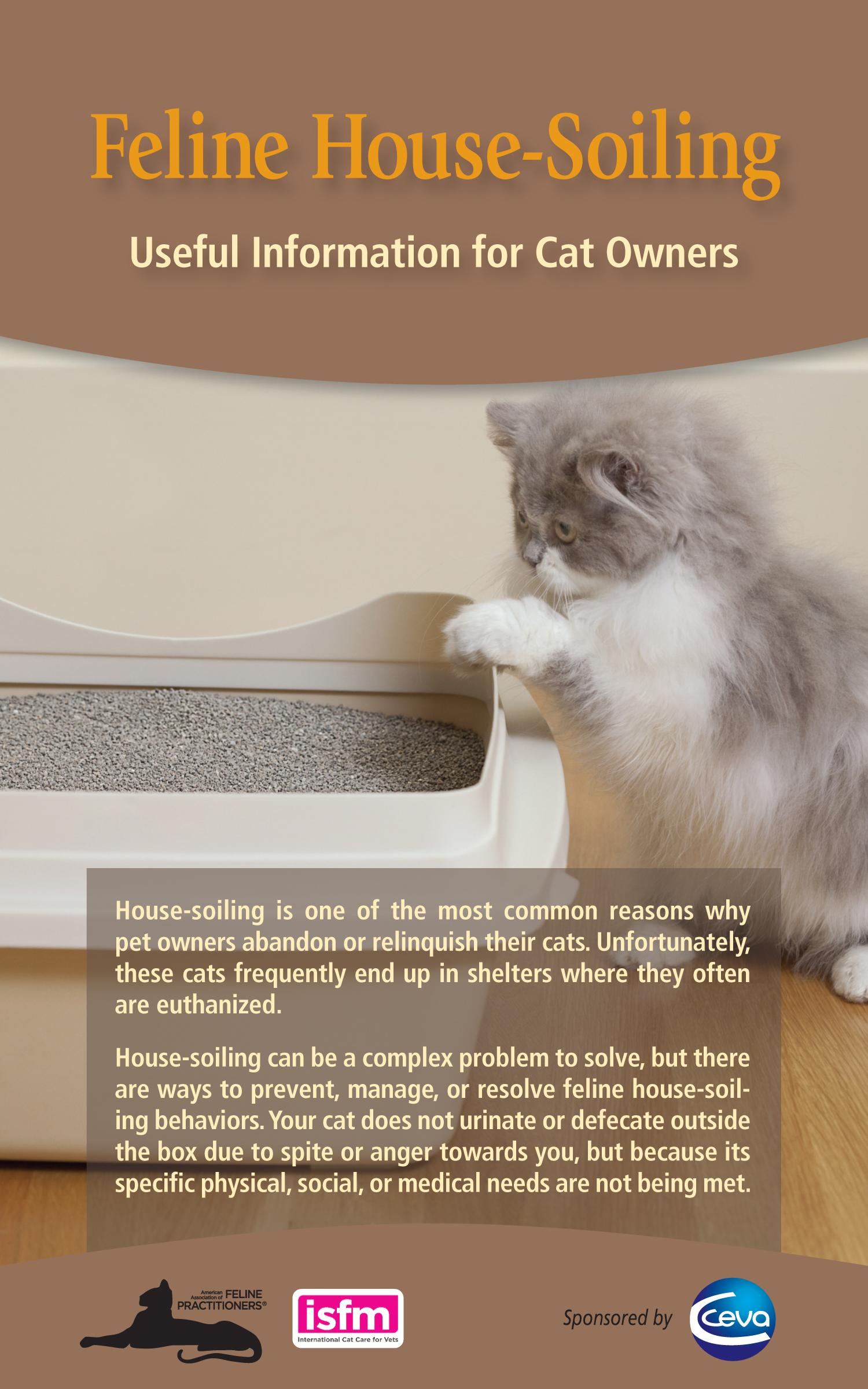 Feline House-Soiling: Useful Information for Cat Owners