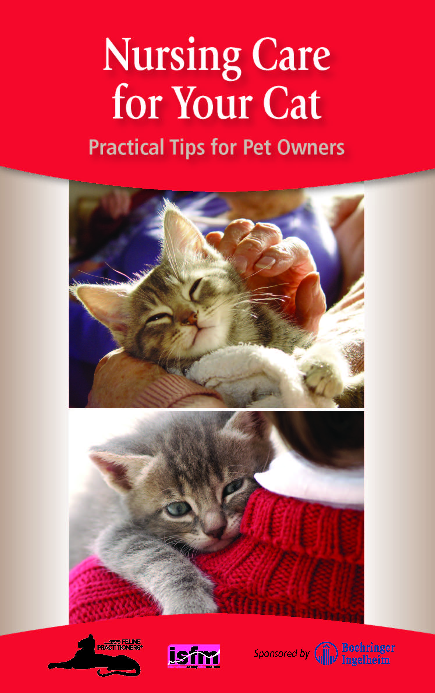 Nursing Care for Your Cat: Practical Tips for Pet Owners