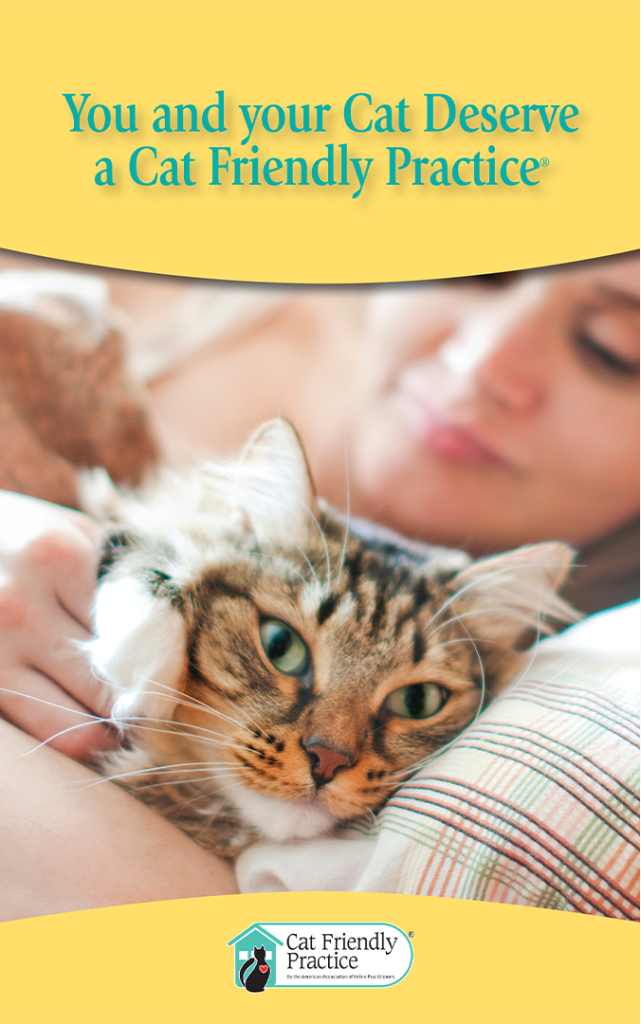 Cat Friendly Practice Brochure Cover