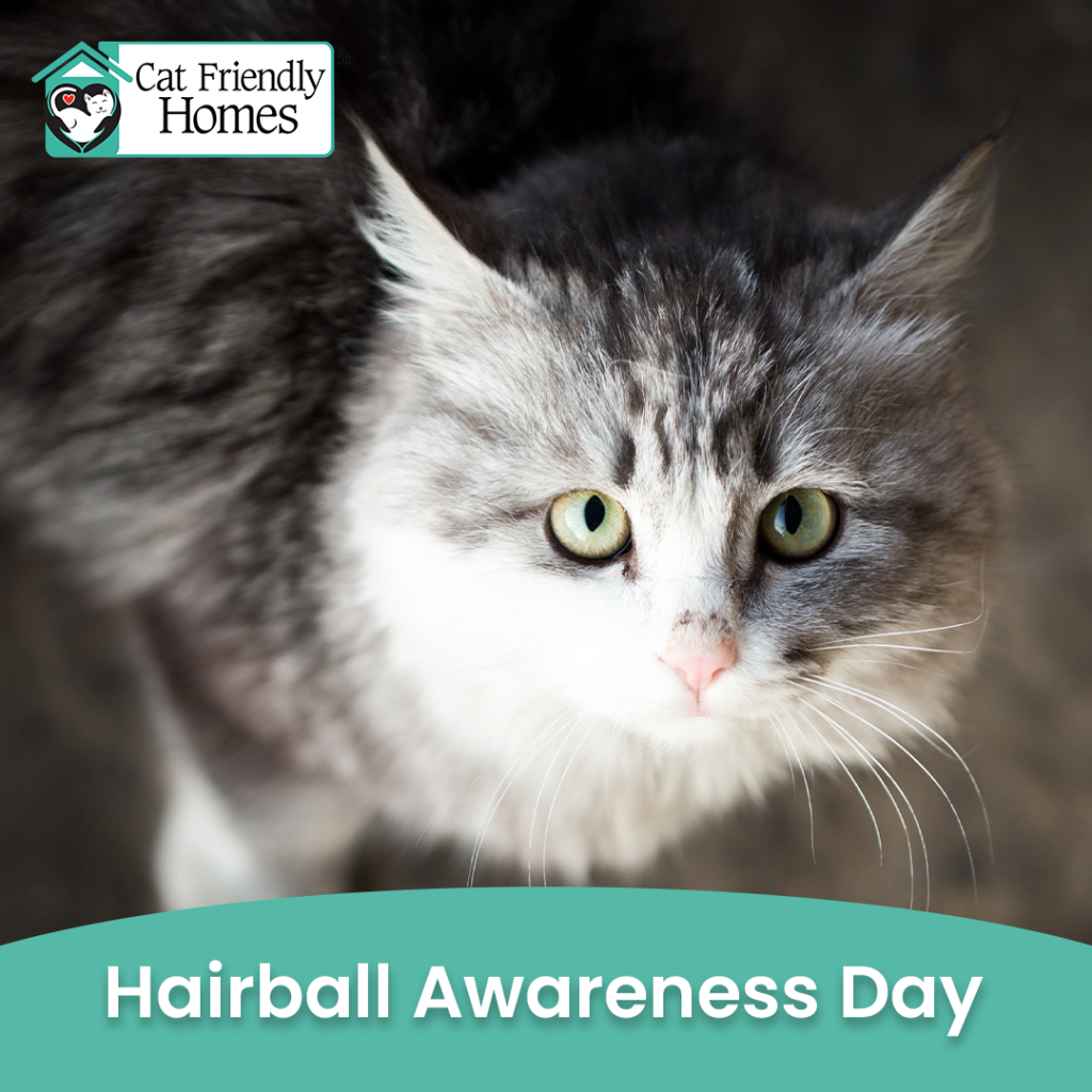 Hairball Awareness Day