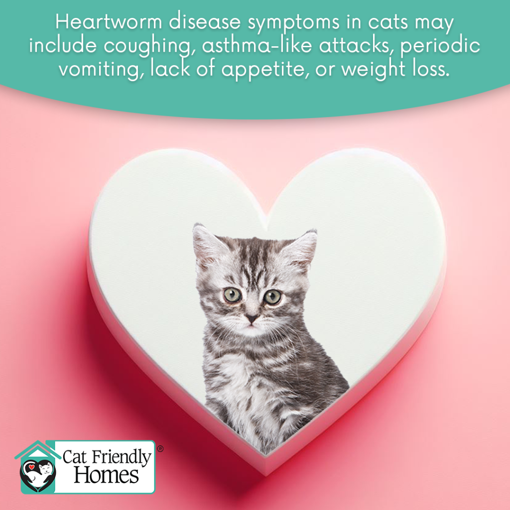 Heartworm Awareness Month