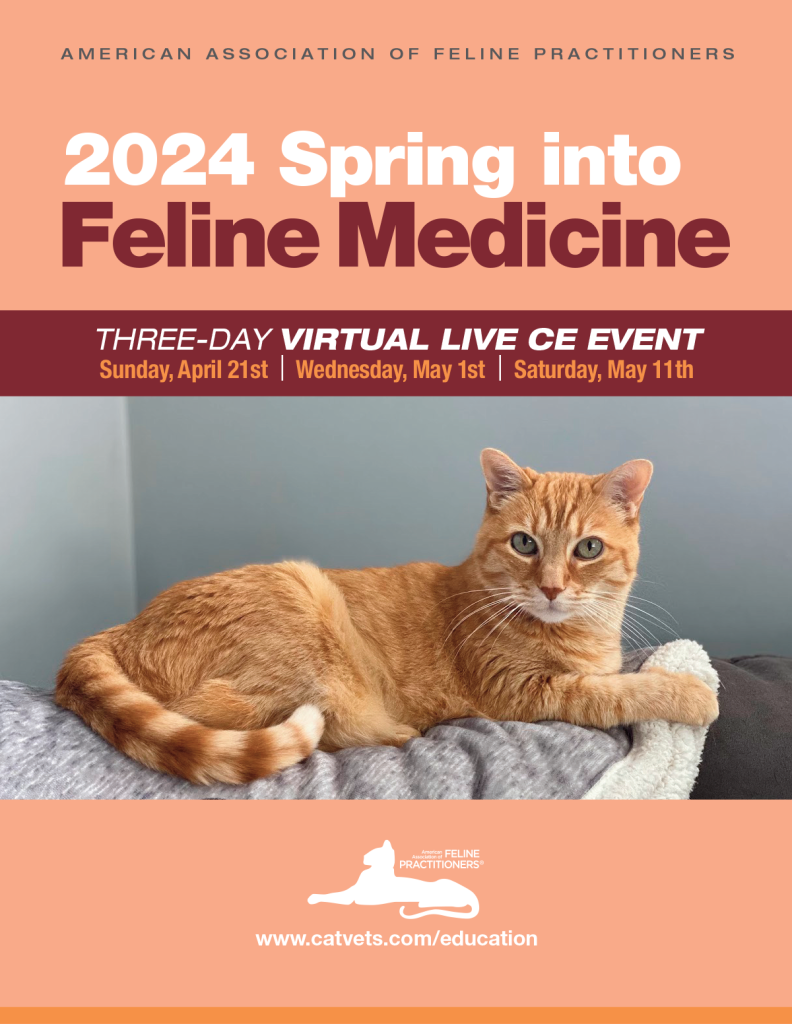 Spring into Feline Medicine 2024