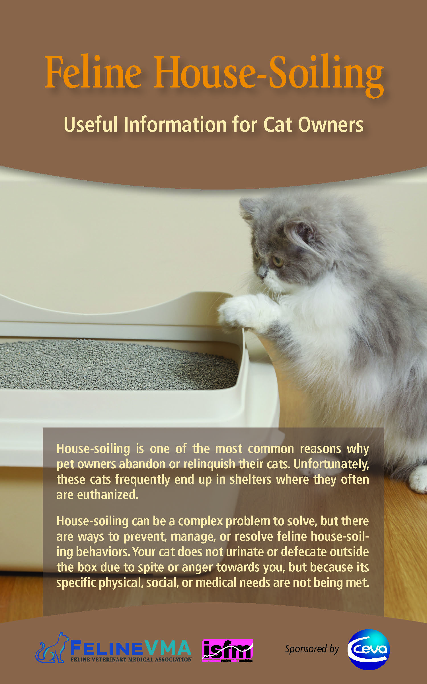 Feline House-Soiling: Useful Information for Cat Owners