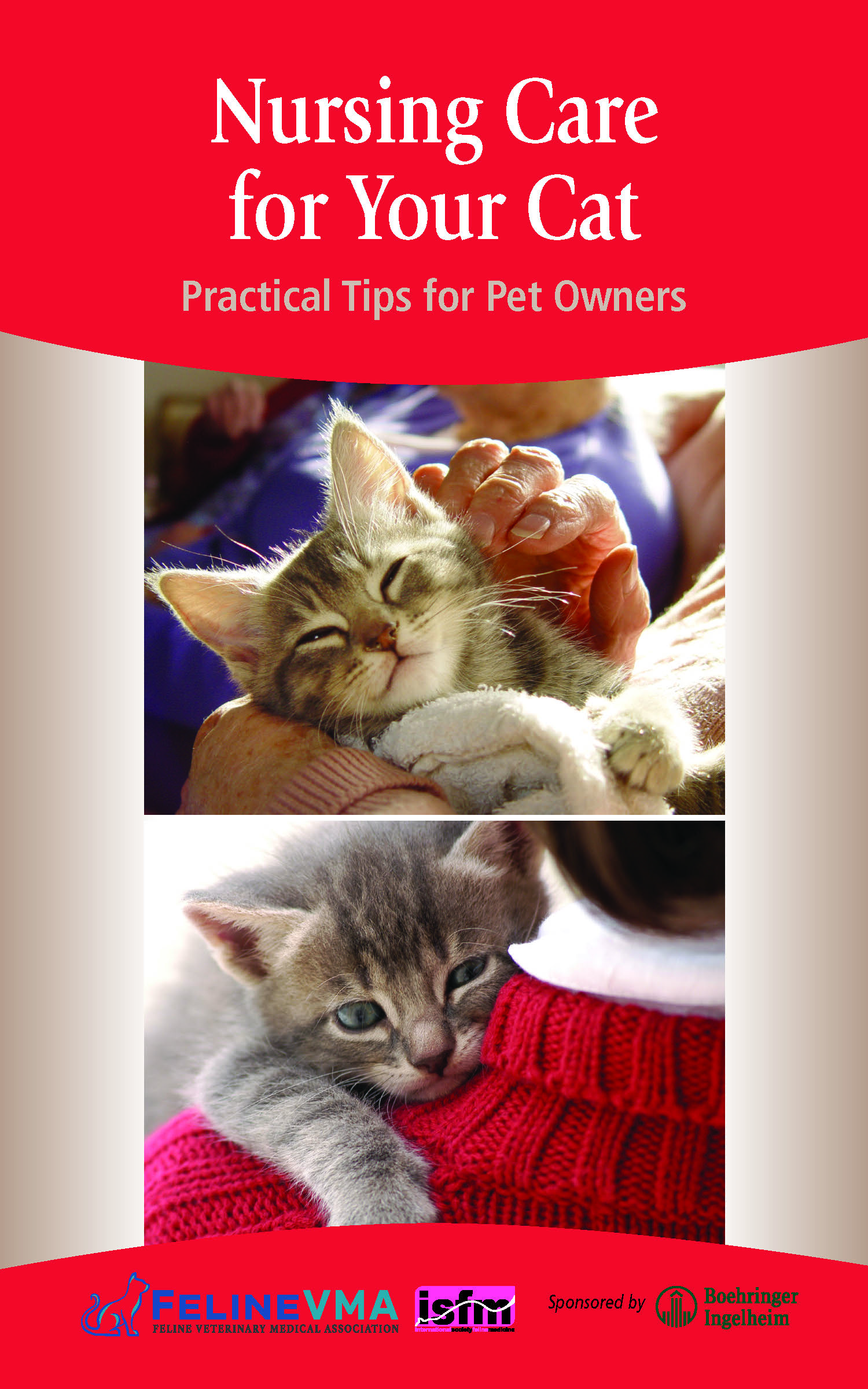 Nursing Care for Your Cat: Practical Tips for Pet Owners