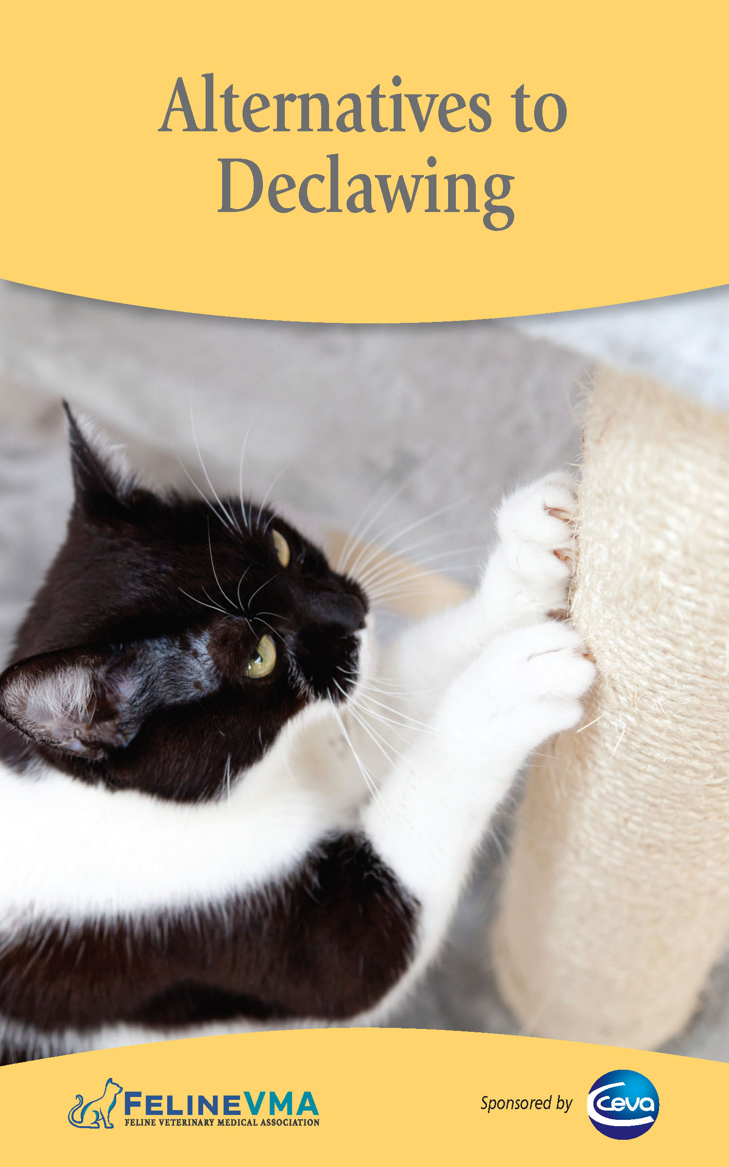 Alternatives to Declawing