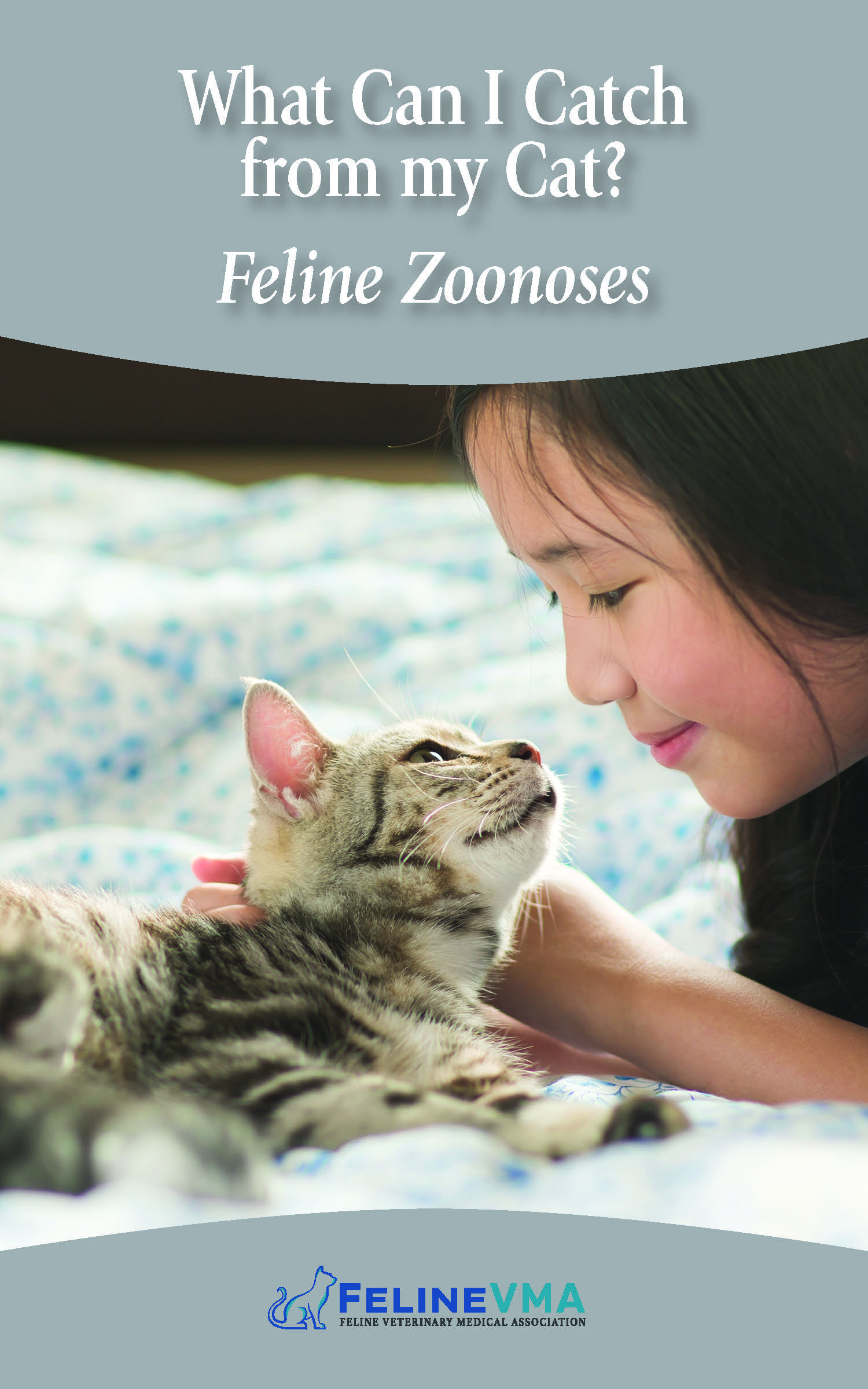 What Can I Catch from my Cat? Feline Zoonoses