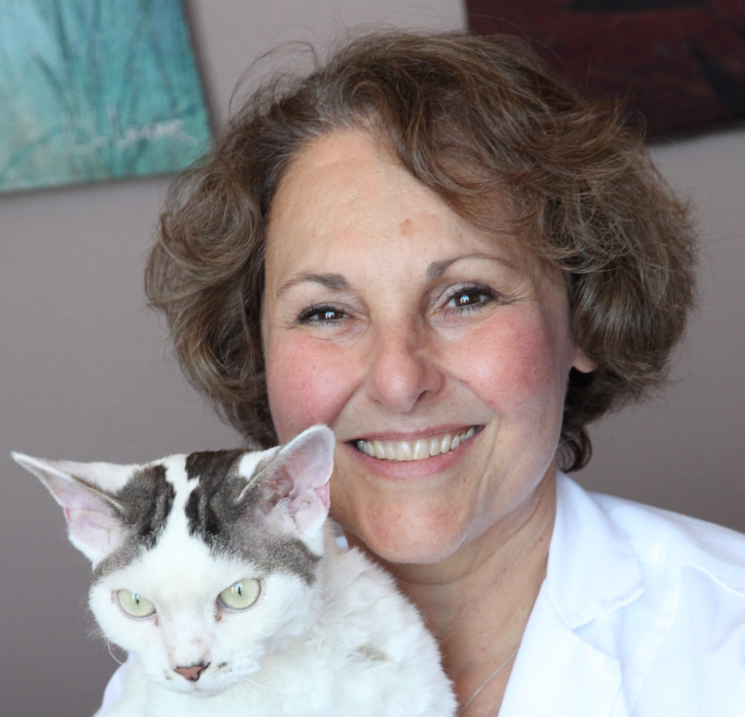 Ilona Rodan, DVM, DABVP headshot