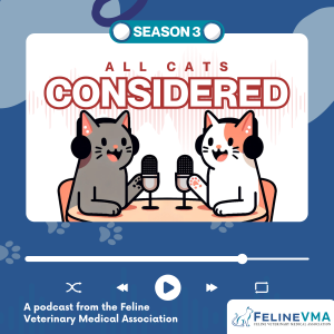 All Cats Considered Season 3 image
