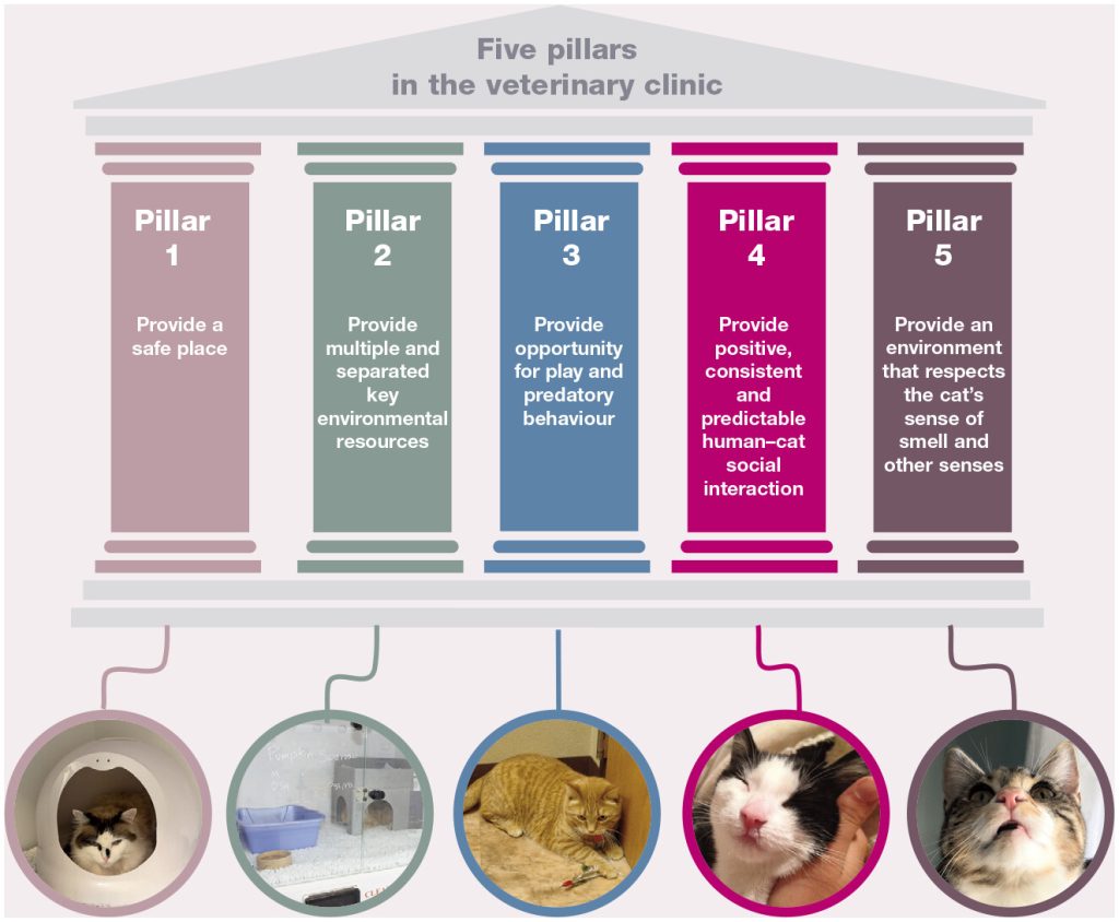 Five pillars diagram