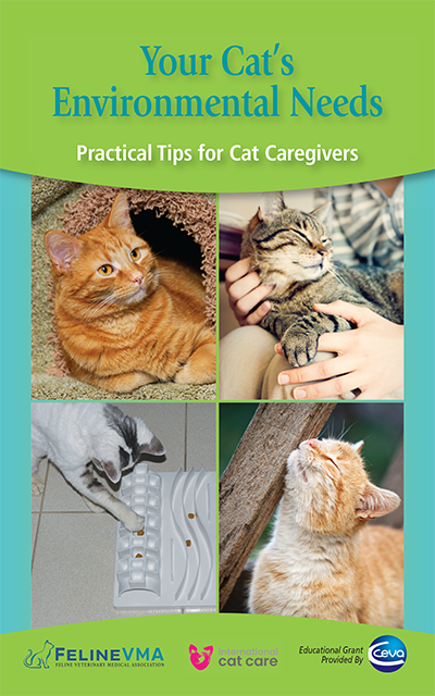 Environmental Needs Brochure Cover