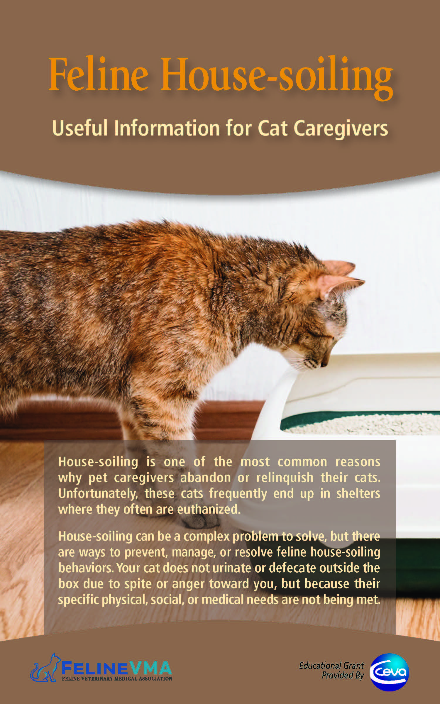 Feline House-Soiling: Useful Information for Cat Owners