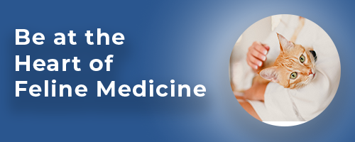 FelineVMA: The Heart of Feline Medicine. A veterinary professional holds a cat.