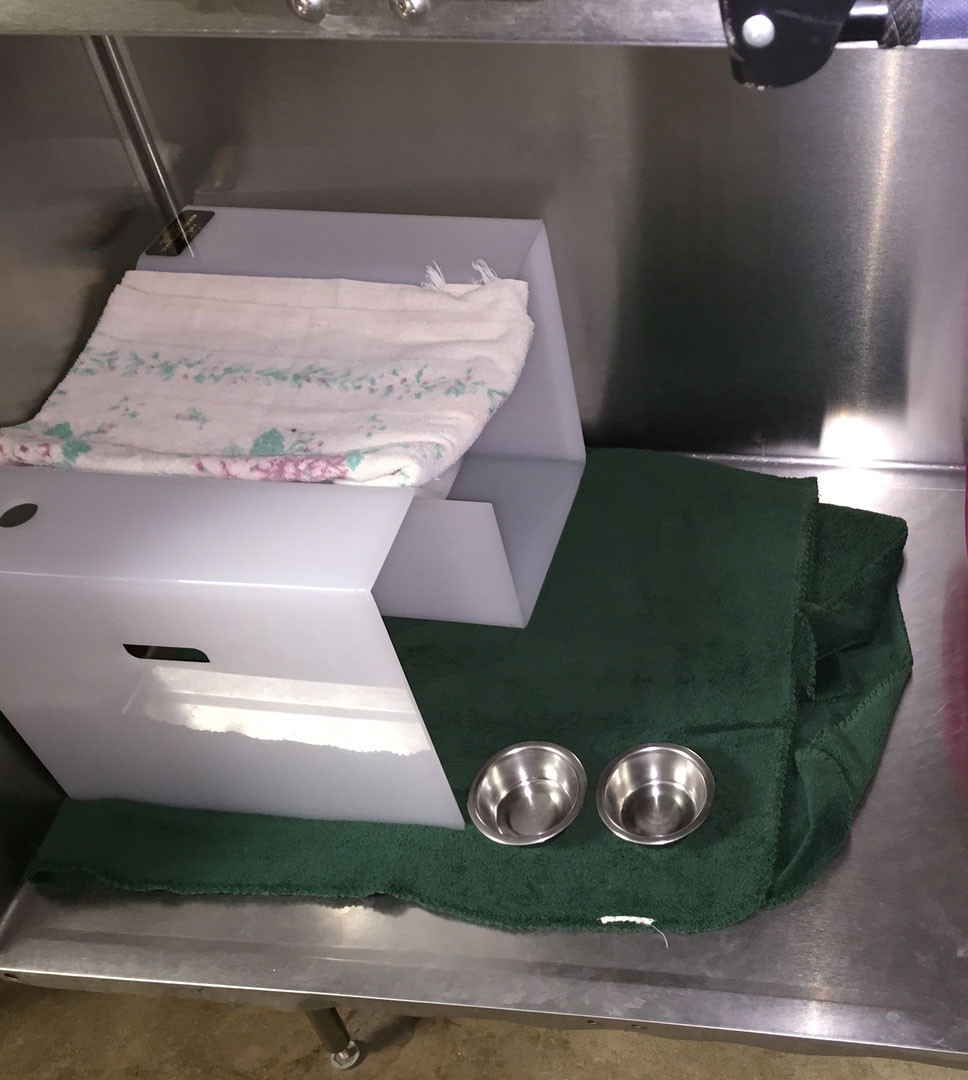 hiding-boxes-yvonne-laurence-lemieux