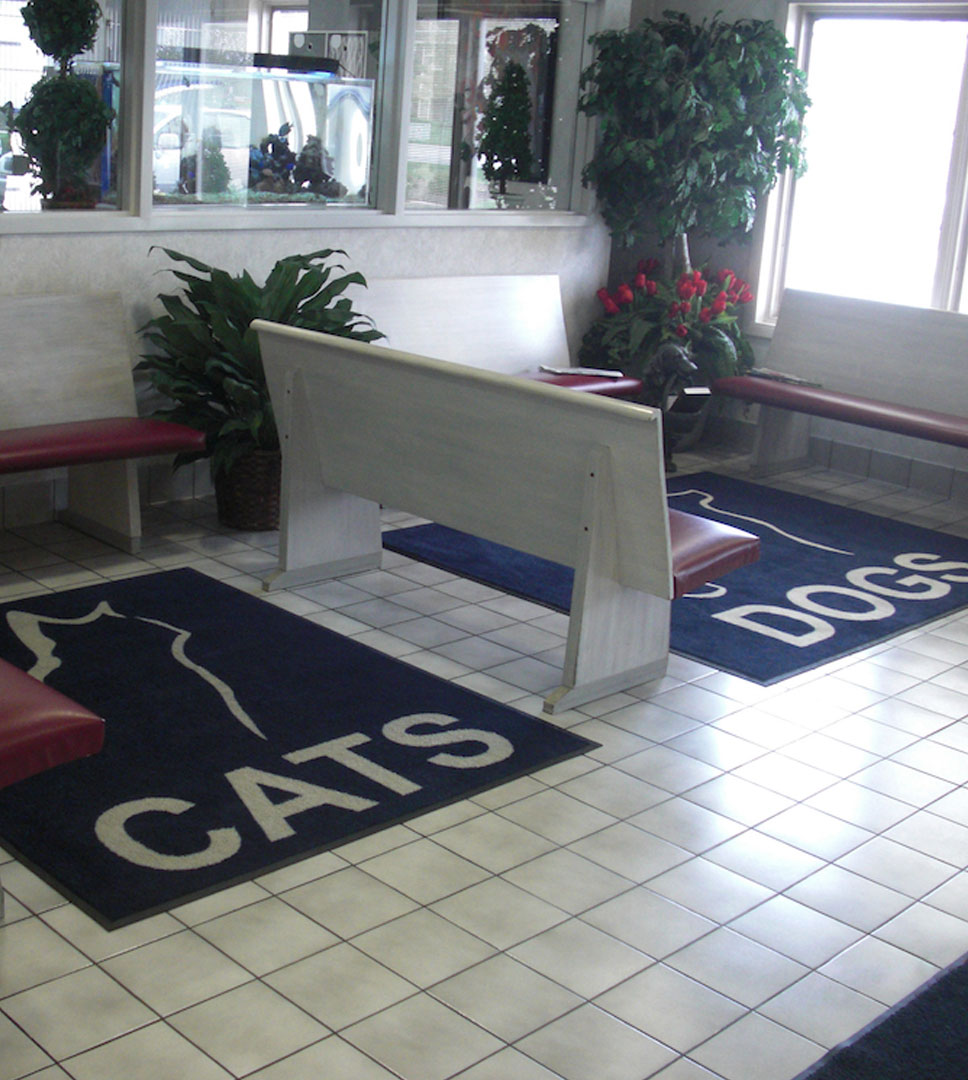 rugs-waiting-room-aboite-animal-hospital