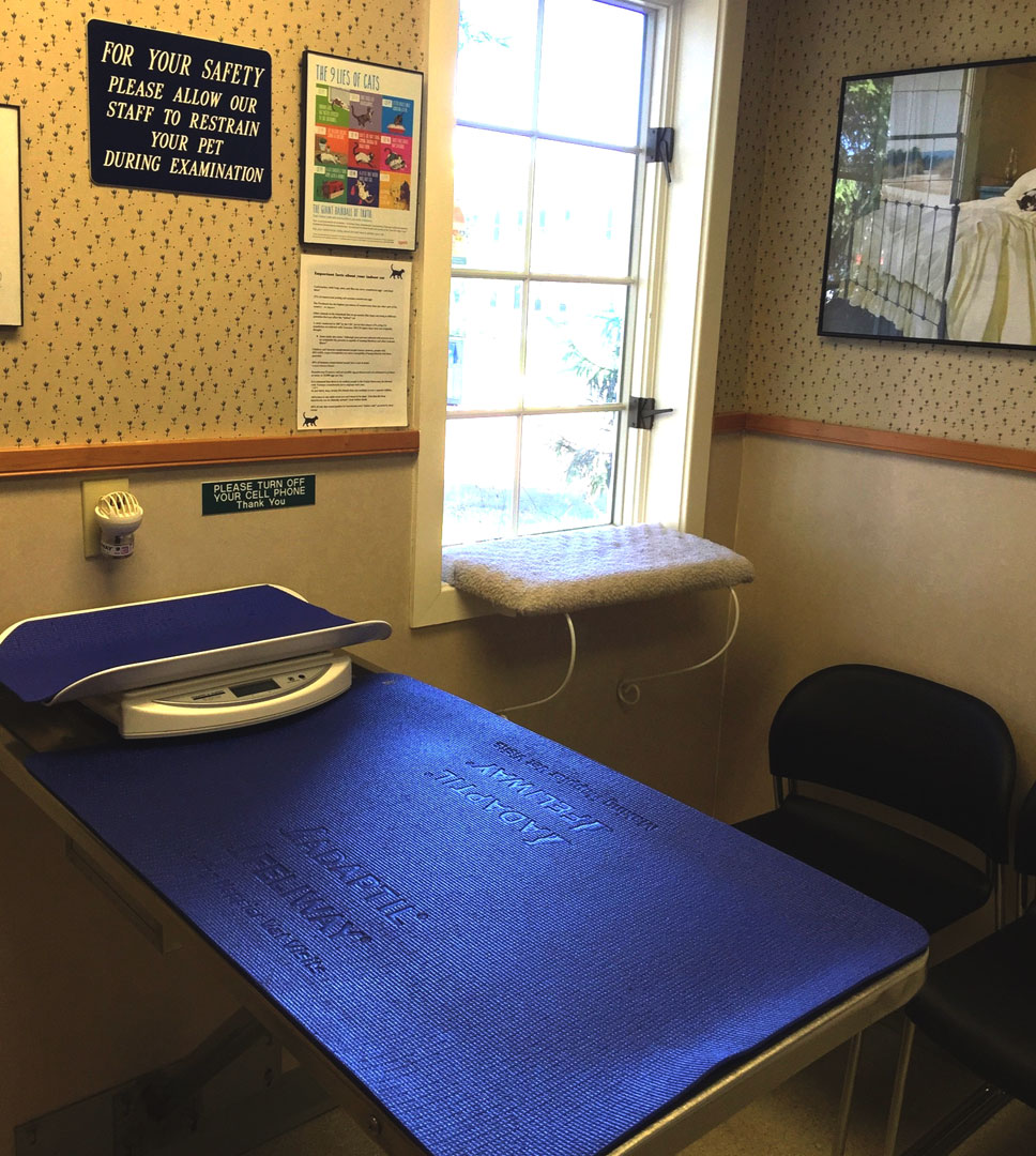 yoga-mat-animal-medical-center