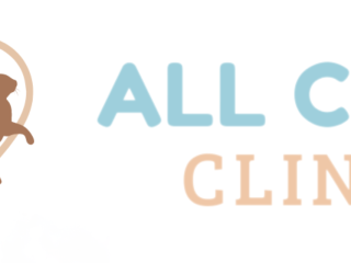 ACC-new-logo-long