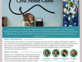 Civic-Feline-Clinic-1-Pager