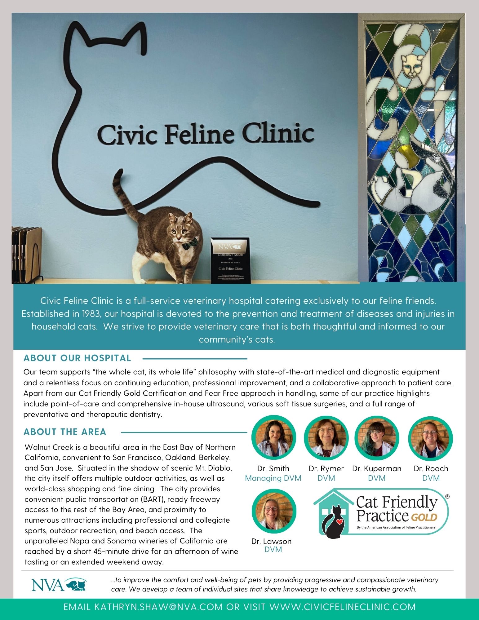 Civic-Feline-Clinic-1-Pager
