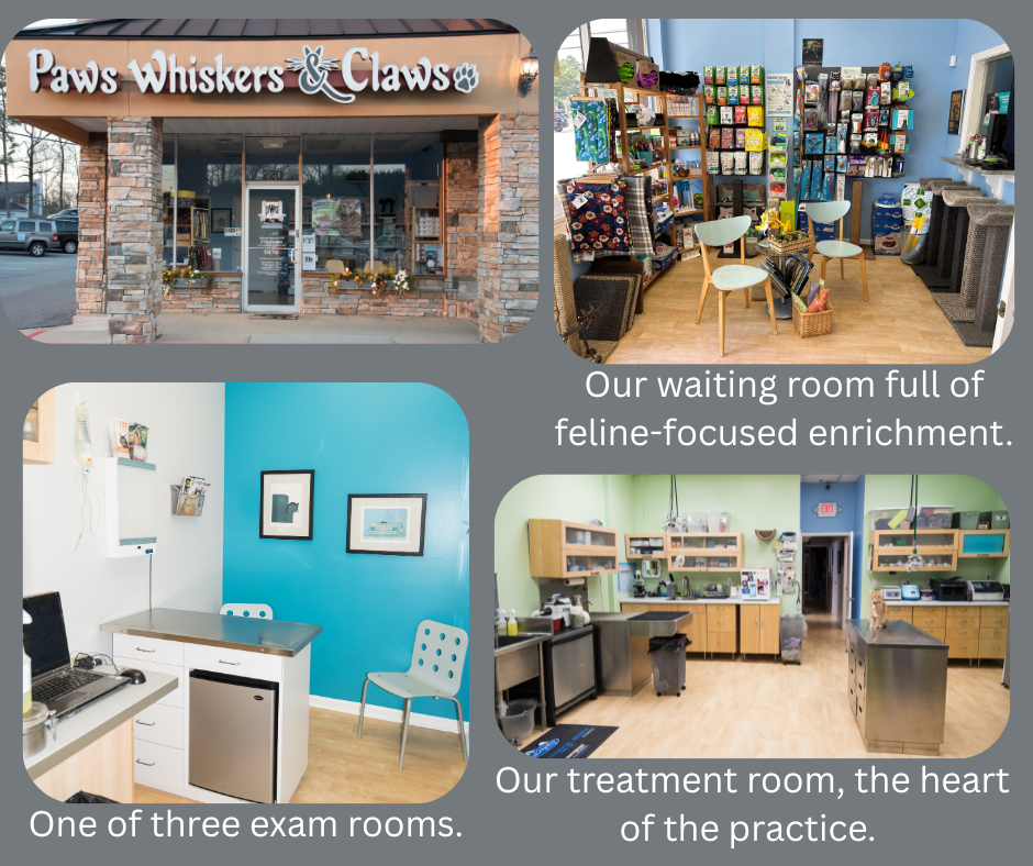 FANTASTIC FELINE PRACTICE looking for passionate associate!