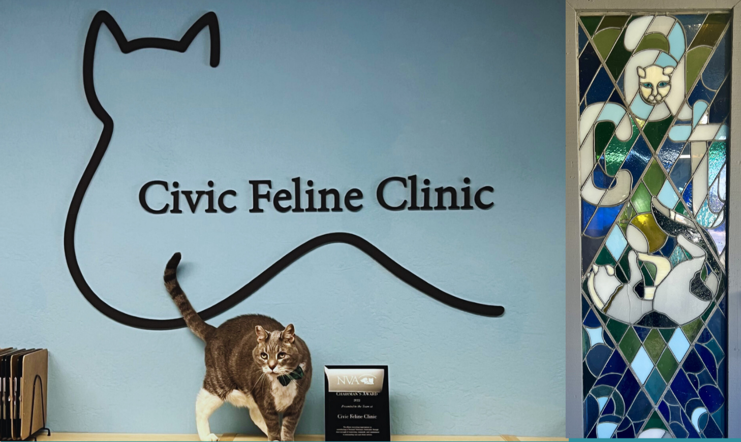 Feline Only Associate Veterinarian