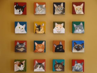 16-Cat-Portraits-Horizontal-2of15