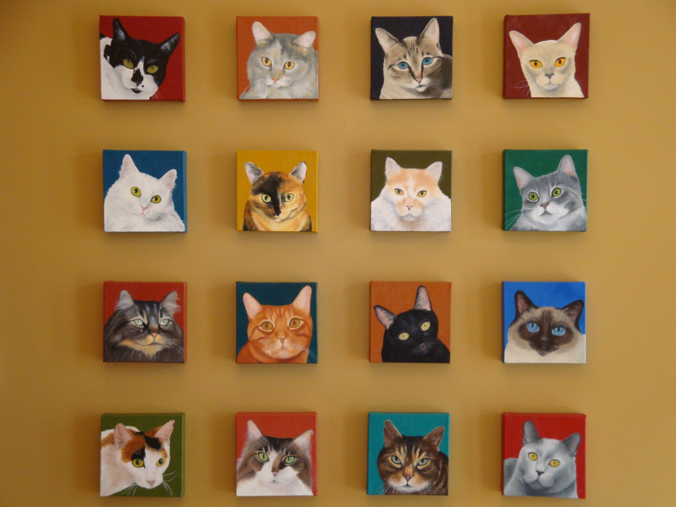 Privately-Owned Feline-Exclusive Practice Seeking Associate Veterinarian – Beautiful Boise, Idaho