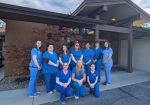 Privately-Owned Feline-Exclusive Practice Seeking Associate Veterinarian – Beautiful Boise, Idaho